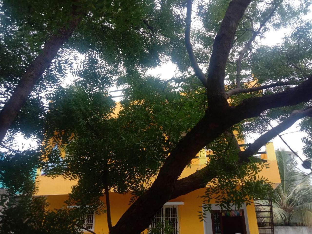 Thendral Hostel Monthly Rental Puducherry Exterior foto